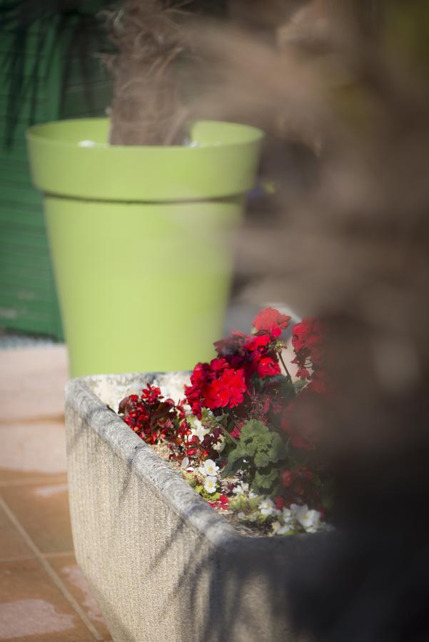 Le Relais De St Martin Bed & Breakfast Rilly-la-Montagne Luaran gambar